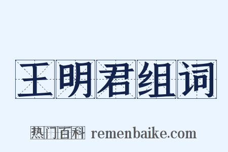 王明君组词是什么意思的图片
